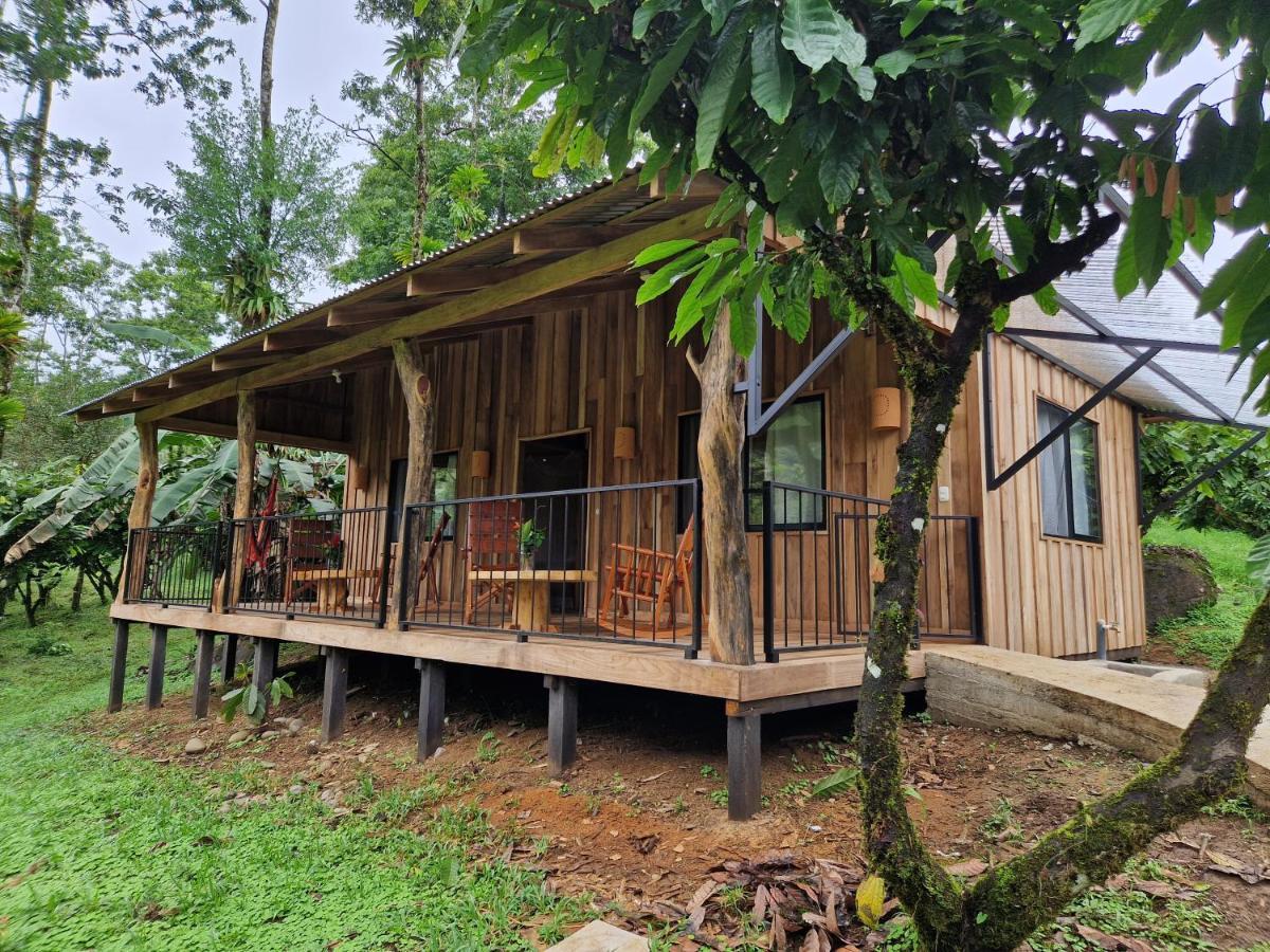 Finca Amistad Cacao Lodge Bijagua Eksteriør billede