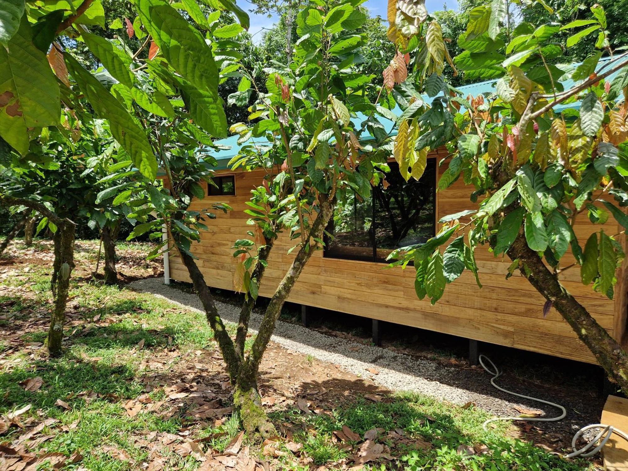 Finca Amistad Cacao Lodge Bijagua Eksteriør billede