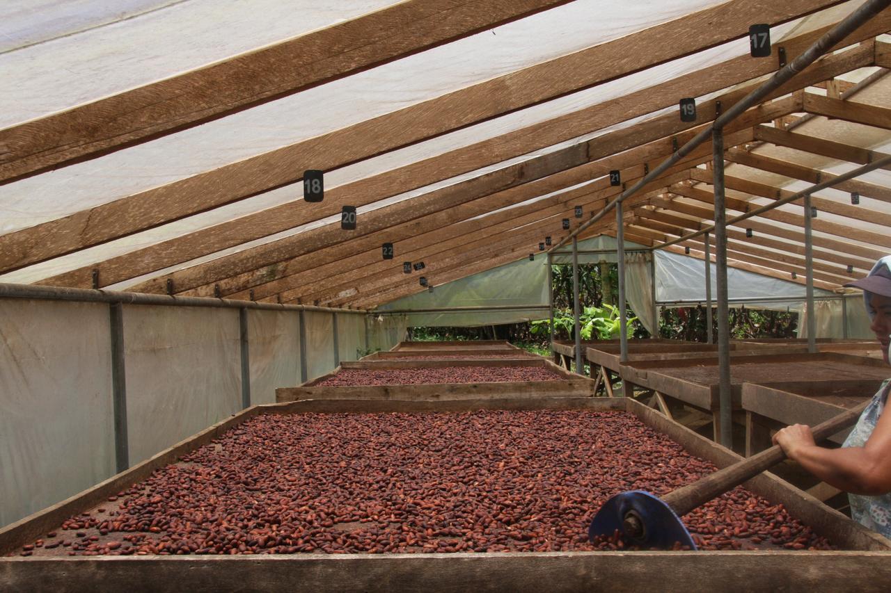 Finca Amistad Cacao Lodge Bijagua Eksteriør billede