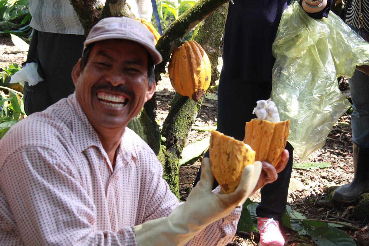 Finca Amistad Cacao Lodge Bijagua Eksteriør billede