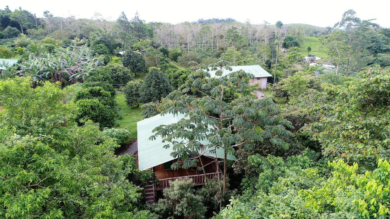 Finca Amistad Cacao Lodge Bijagua Eksteriør billede