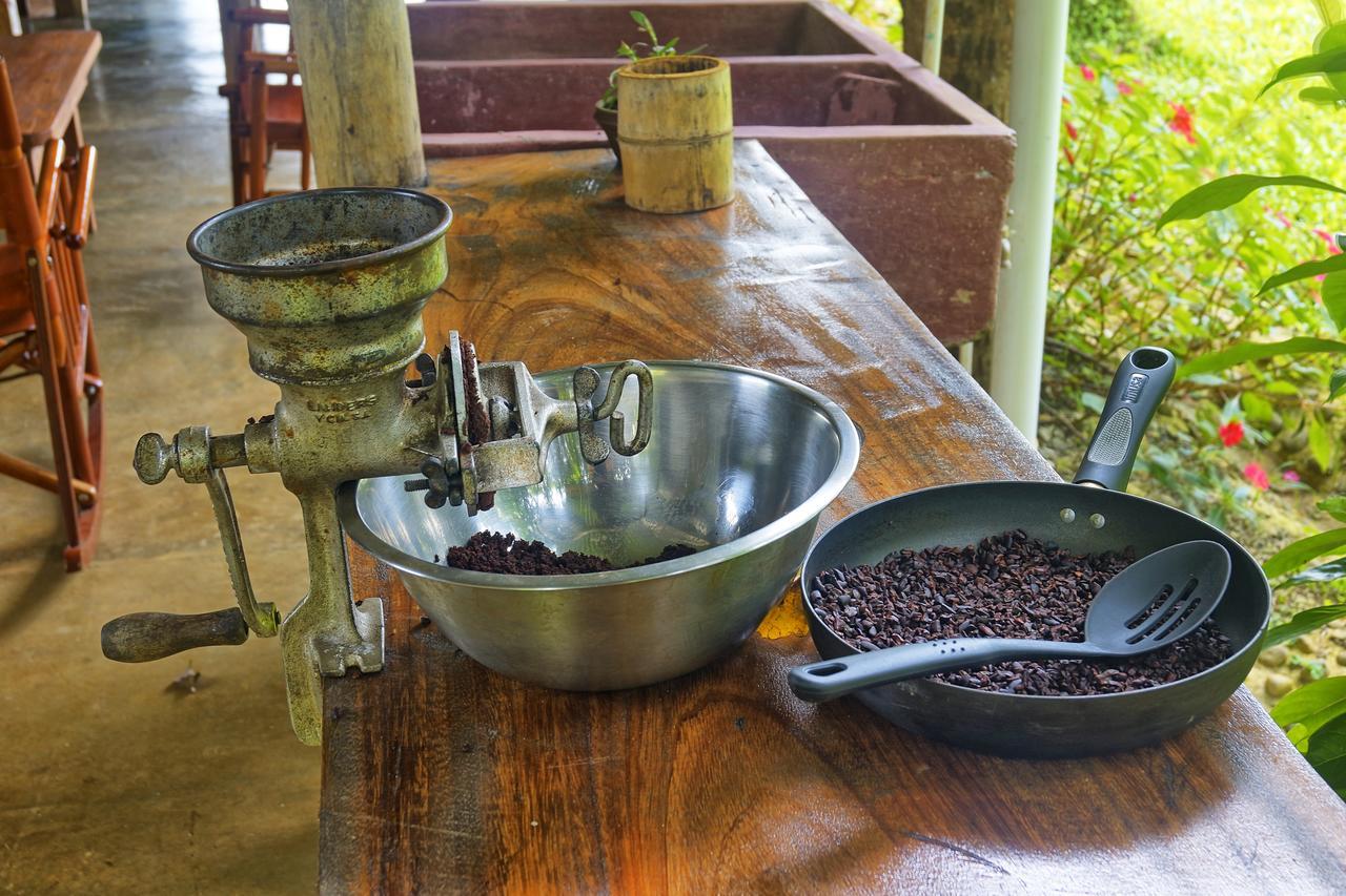 Finca Amistad Cacao Lodge Bijagua Eksteriør billede