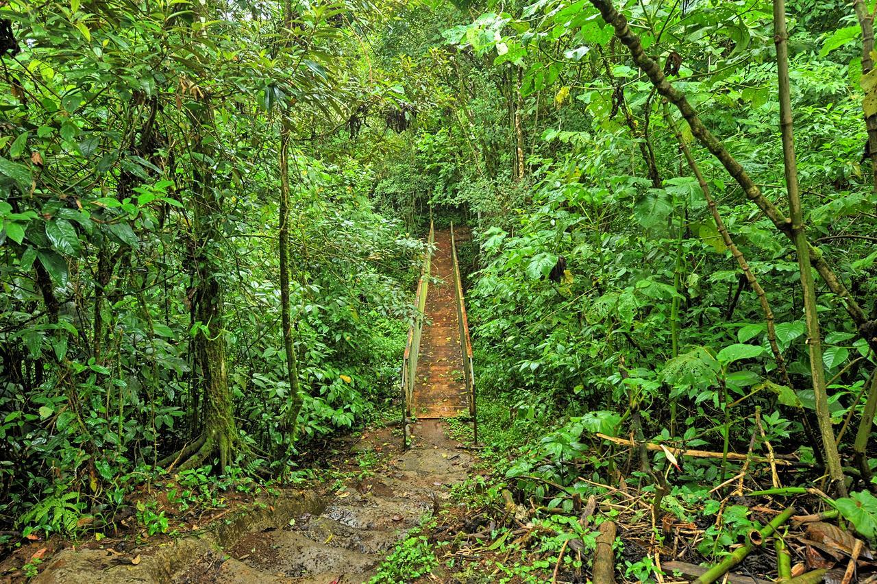 Finca Amistad Cacao Lodge Bijagua Eksteriør billede