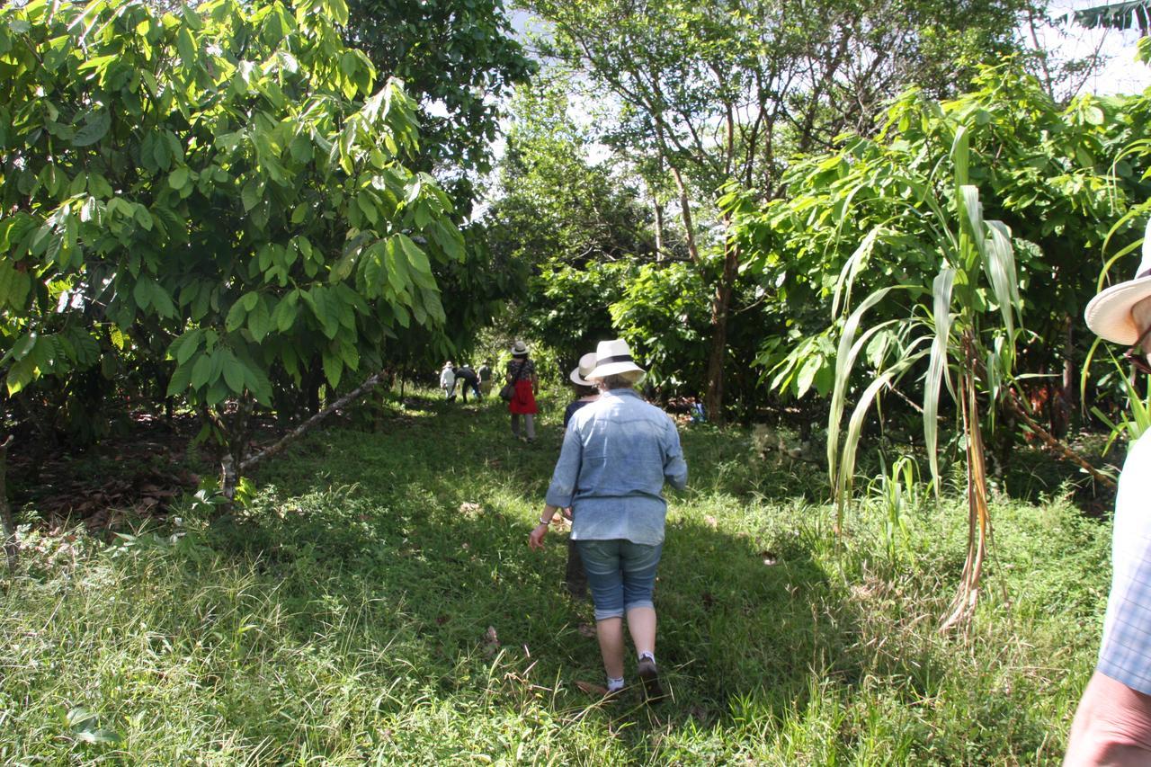 Finca Amistad Cacao Lodge Bijagua Eksteriør billede