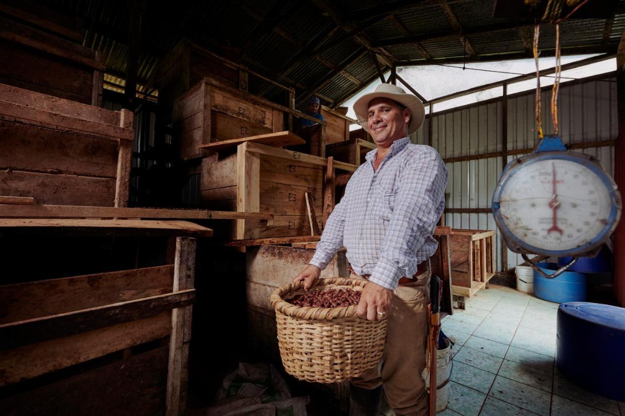 Finca Amistad Cacao Lodge Bijagua Eksteriør billede