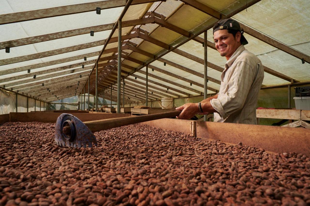 Finca Amistad Cacao Lodge Bijagua Eksteriør billede